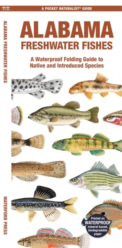 Alabama Freshwater Fishes, Matthew Morris - Gebonden - 9781620056646