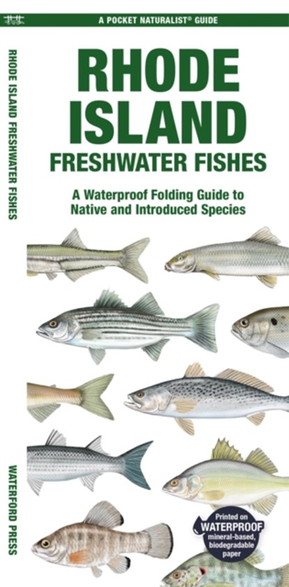 Rhode Island Freshwater Fishes, Matthew Morris - Gebonden - 9781620056721
