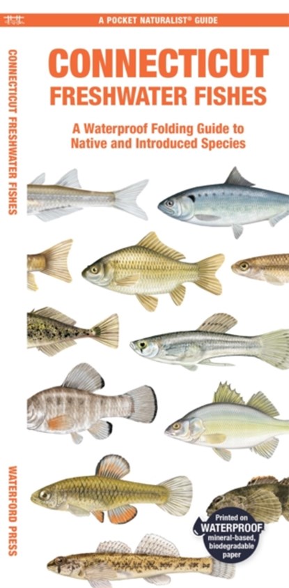 Connecticut Freshwater Fishes, Matthew Morris - Gebonden - 9781620056776