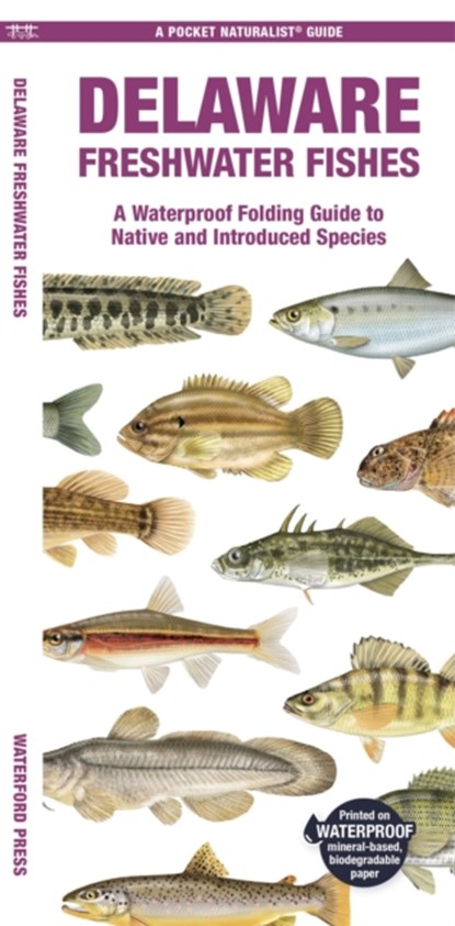 Delaware Freshwater Fishes, Matthew Morris - Gebonden - 9781620056783