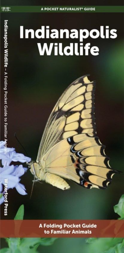 Indianapolis Wildlife, J M Kavanagh - Gebonden - 9781620057018