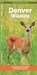 Denver Wildlife, J M Kavanagh - Gebonden - 9781620057025