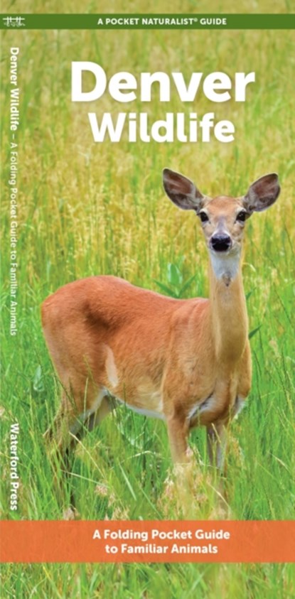 Denver Wildlife, J M Kavanagh - Gebonden - 9781620057025