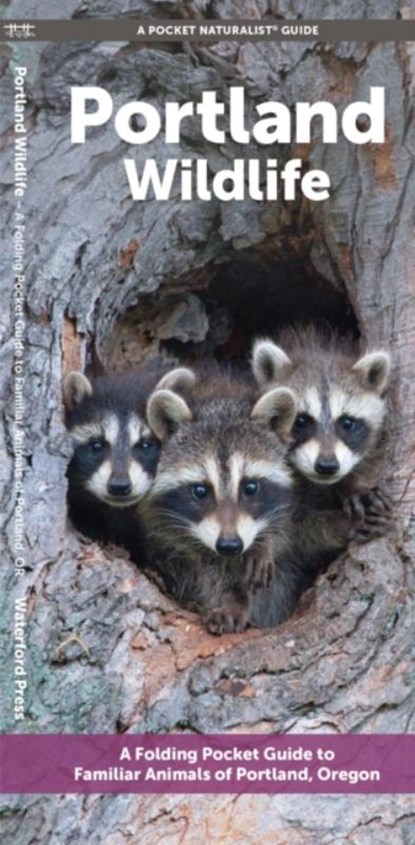 Portland Wildlife, J M Kavanagh - Gebonden - 9781620057032