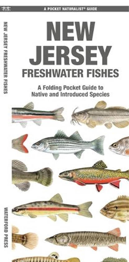 New Jersey Freshwater Fishes, Matthew Morris - Gebonden - 9781620057629