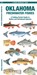 Oklahoma Freshwater Fishes, Matthew Morris - Paperback - 9781620057742