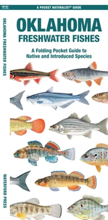 Oklahoma Freshwater Fishes, Matthew Morris - Paperback - 9781620057742