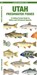 Utah Freshwater Fishes, Matthew Morris - Gebonden - 9781620058282