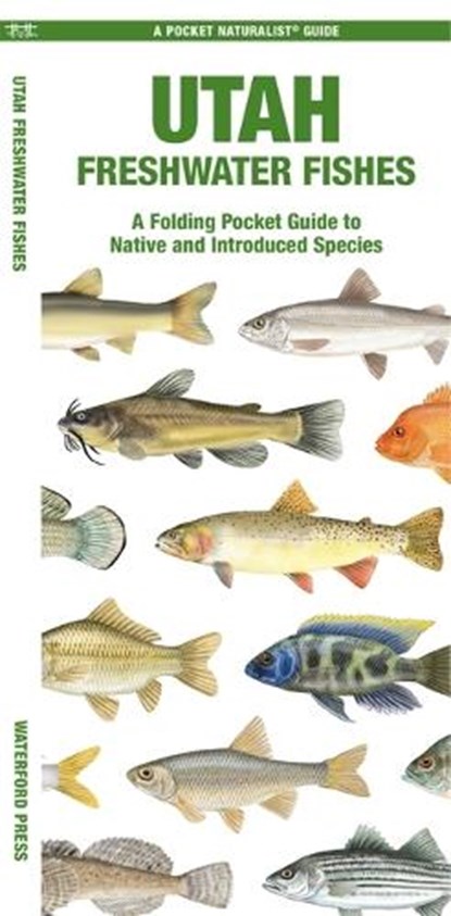 Utah Freshwater Fishes, Matthew Morris - Gebonden - 9781620058282