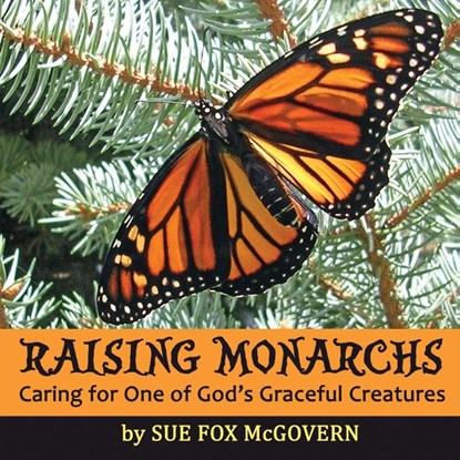 Raising Monarchs, Sue Fox McGovern - Paperback - 9781620062463