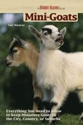 Mini-Goats | Sue Weaver | 