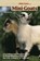 Mini-Goats, Sue Weaver - Paperback - 9781620082072