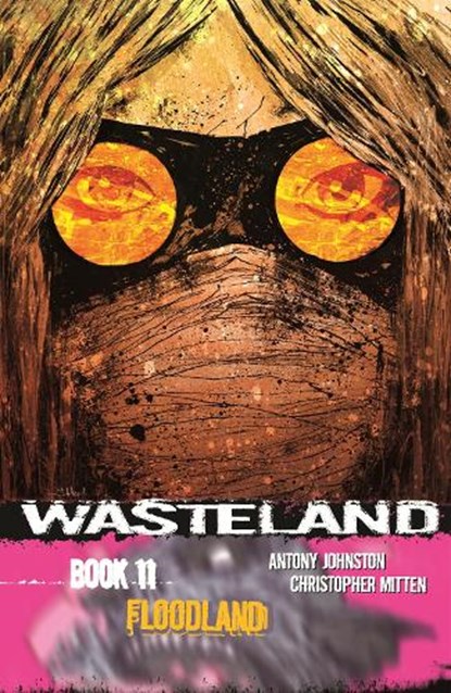 Wasteland Volume 11, JOHNSTON,  Antony - Paperback - 9781620101483