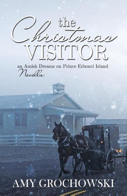 The Christmas Visitor, Amy Grochowski - Paperback - 9781620207260