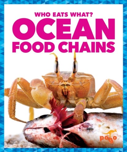 Ocean Food Chains, Rebecca Pettiford - Gebonden - 9781620313022