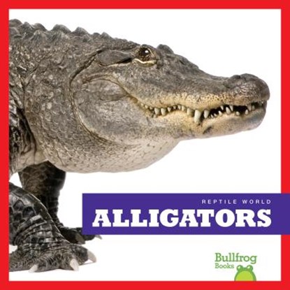 Alligators, Vanessa Black - Gebonden - 9781620313794