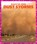 Dust Storms, Vanessa Black - Gebonden - 9781620313978