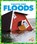 Floods, Vanessa Black - Gebonden - 9781620313985