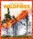 Wildfires, Vanessa Black - Gebonden - 9781620314005