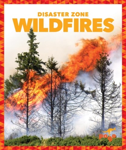 Wildfires, Vanessa Black - Gebonden - 9781620314005