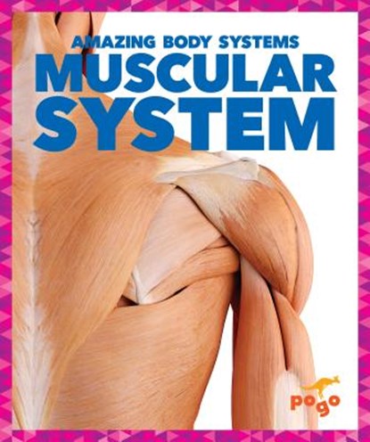 Muscular System, Karen Kenney - Gebonden - 9781620315590