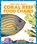 Coral Reef Food Chains, Rebecca Pettiford - Gebonden - 9781620315736