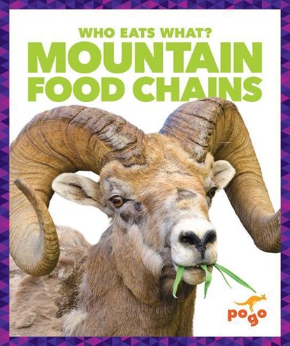 Mountain Food Chains, Rebecca Pettiford - Gebonden - 9781620315767