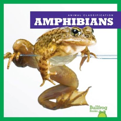 Amphibians, Erica Donner - Paperback - 9781620315903