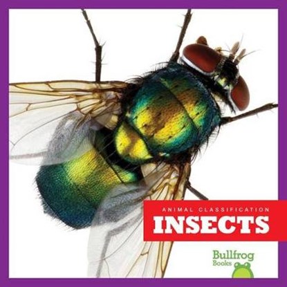 Insects, Erica Donner - Paperback - 9781620315934