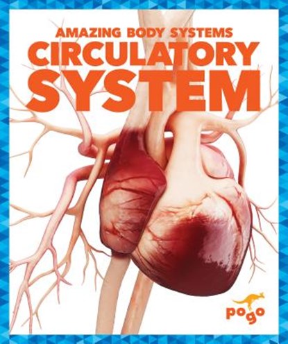 Circulatory System, Karen Kenney - Paperback - 9781620315965