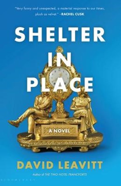 Shelter in Place, LEAVITT,  David - Paperback - 9781620404881