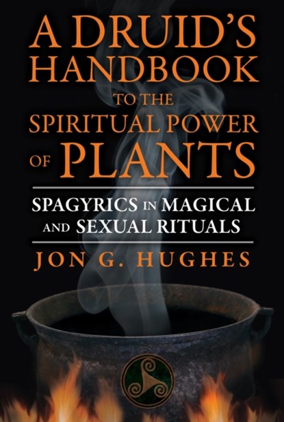 A Druid's Handbook to the Spiritual Power of Plants, Jon G. Hughes - Paperback - 9781620552650
