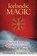Icelandic Magic, Stephen E. Flowers - Paperback - 9781620554050