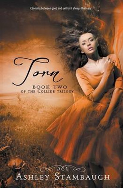 Torn, STAMBAUGH,  Ashley - Paperback - 9781621355113