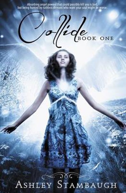 Collide, STAMBAUGH,  Ashley - Paperback - 9781621355120
