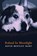 Roland in Moonlight, David Bentley Hart - Paperback - 9781621386933