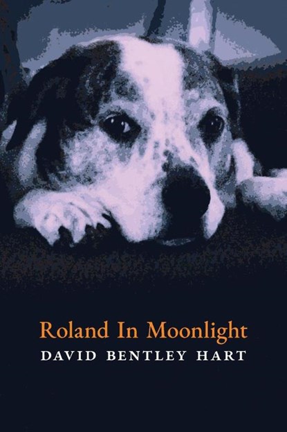 Roland in Moonlight, David Bentley Hart - Paperback - 9781621386933