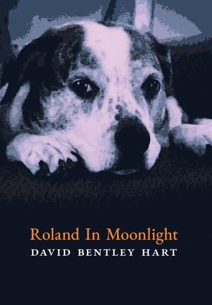 Roland in Moonlight, David Bentley Hart - Gebonden - 9781621386940