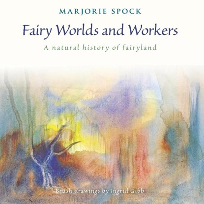 Fairy Worlds and Workers, Marjorie Spock - Paperback - 9781621480259