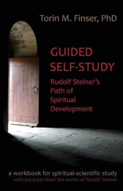 Guided Self-Study, Torin M. Finser - Paperback - 9781621481300