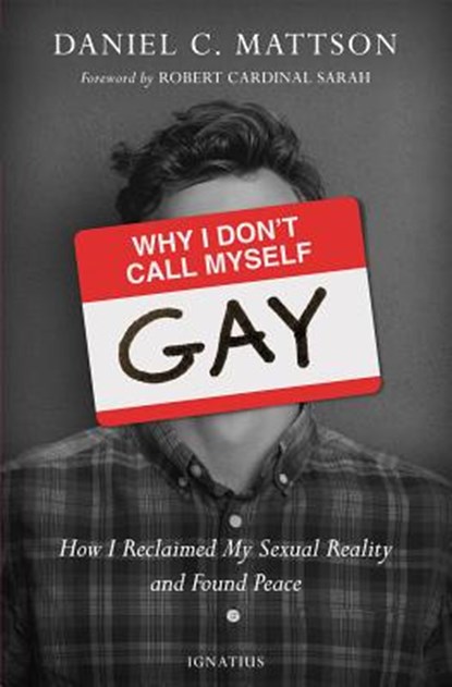 WHY I DONT CALL MYSELF GAY, Daniel Mattson - Paperback - 9781621640721