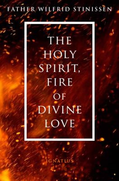 HOLY SPIRIT FIRE OF DIVINE LOV, Wilfrid Stinissen - Paperback - 9781621641117