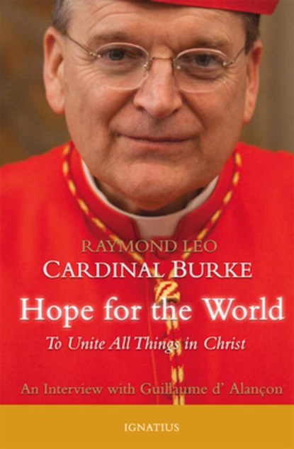 HOPE FOR THE WORLD, Guillaume Alancon - Paperback - 9781621641162