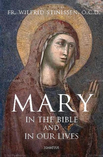 Mary in the Bible and in Our Lives, Wilfrid Stinissen - Paperback - 9781621641872