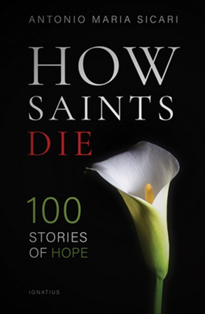 How Saints Die: 100 Stories of Hope, Antonio Maria Sicari - Paperback - 9781621644491