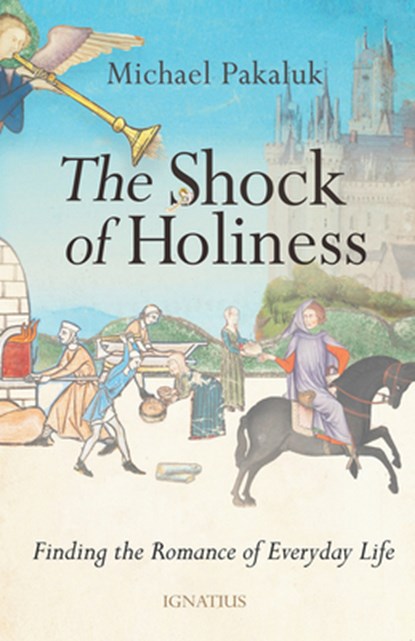 The Shock of Holiness: The Romance of Everyday Life, Michael Pakaluk - Paperback - 9781621647942