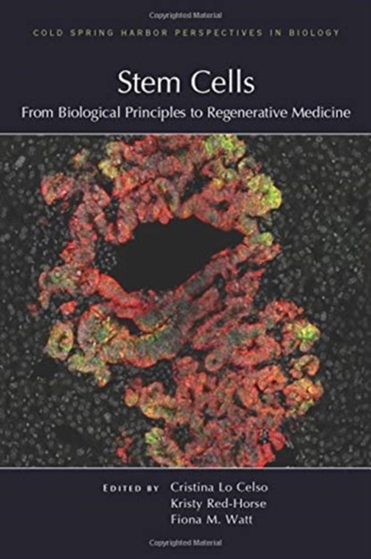 Stem Cells: From Biological Principles to Regenerative Medicine, Cristina Lo Celso ; Kristy Red-Horse ; Fiona M Watt - Gebonden - 9781621823391