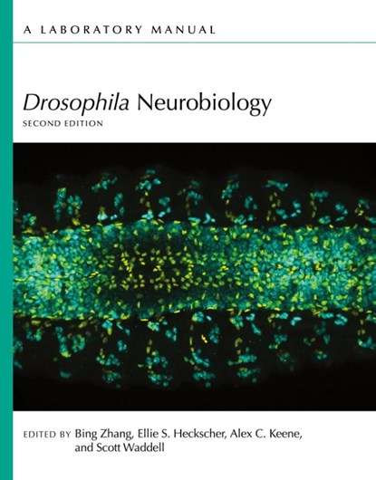 Drosophila Neurobiology, Bing Zhang ; Ellie S Heckscher ; Alex C Keene - Paperback - 9781621824572