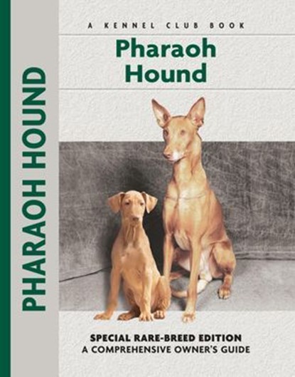 Pharaoh Hound, Juliette Cunliffe - Ebook - 9781621870517