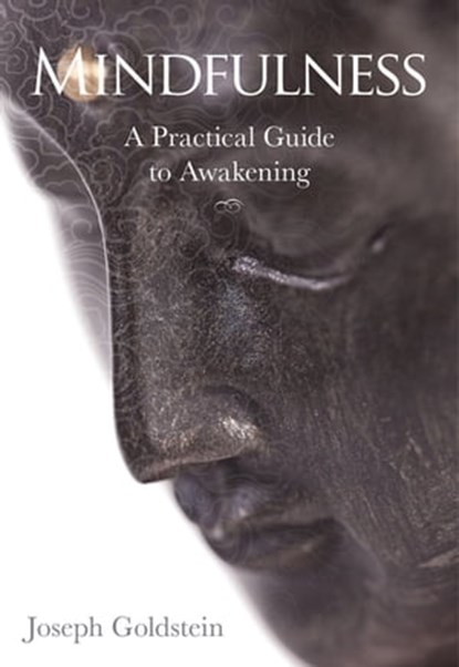 Mindfulness, Joseph Goldstein - Ebook - 9781622030651